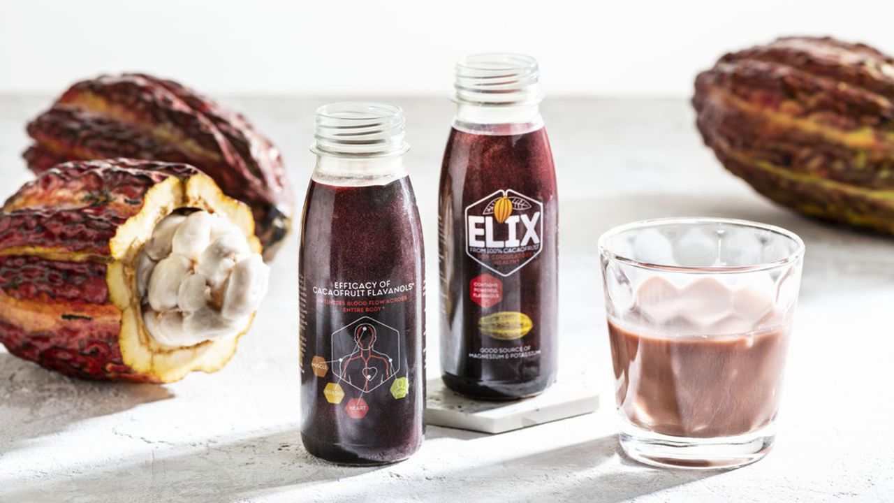 Réalisée à 100 % à partir du cacao, cette boisson, qui a un goût de zeste de fruit, revendique des vertus pour la circulation sanguine liées à sa richesse en flavonoïdes.
