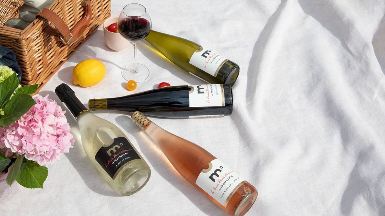 Moderato, spécialiste des vins sans alcool, a ouvert 1.000 points de vente en France et plus de 500 à l'étranger, dont la moitié au Québec.