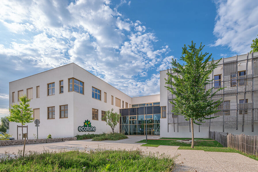 Résultats : le groupe de produits bio Ecotone (Bjorg, Bonneterre, Clipper...) accélère en 2025 avec une croissance de près de 5%